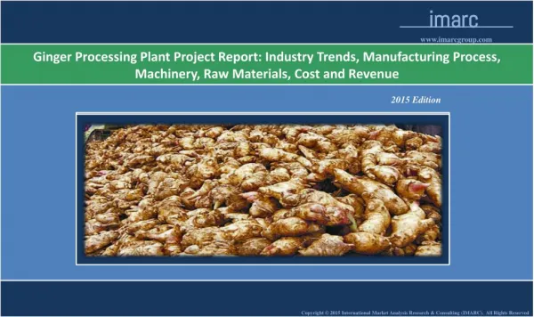 Ginger Processing Plant | Market Trends, Cost