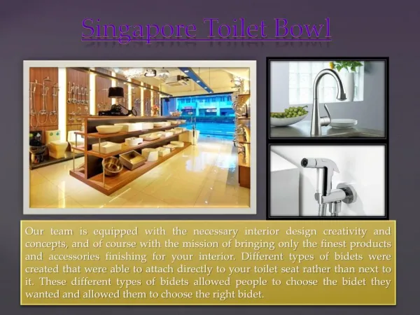 Singapore Toilet Bowl