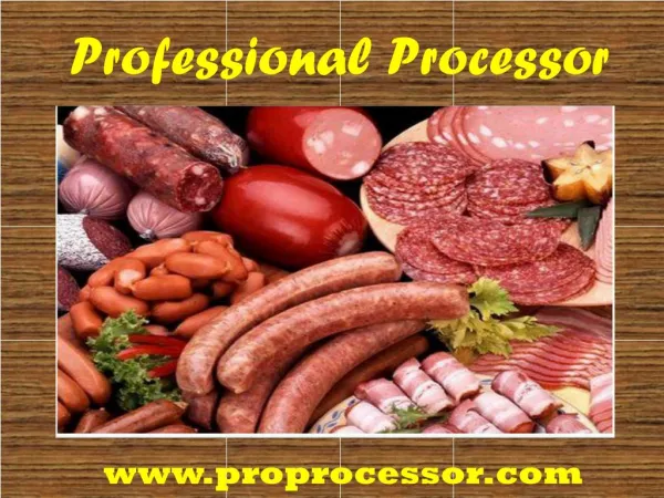 PROfessional Processor a Kitchen Equipment Supplier in USA