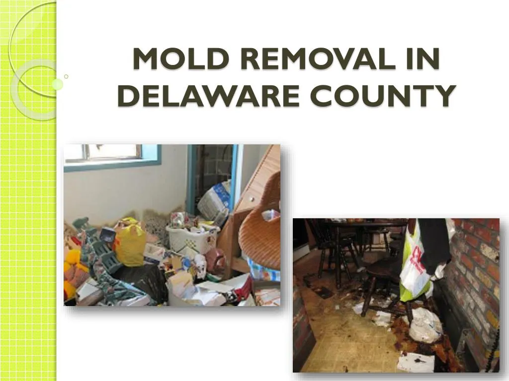 mold removal in delaware county