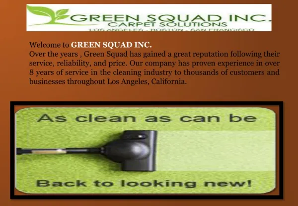 Mattress Cleaning Los Angeles- Green Squad Inc