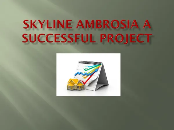 Skyline Ambrosia a successful project