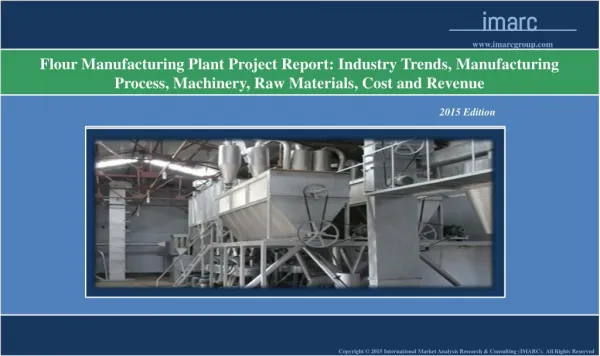 Flour Manufacturing Plant | Market Trends, Cost