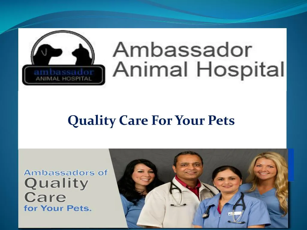 quality care for your pets