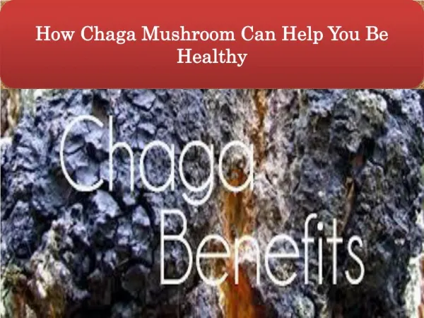 How Chaga Mushroom Can Help You Be Healthy