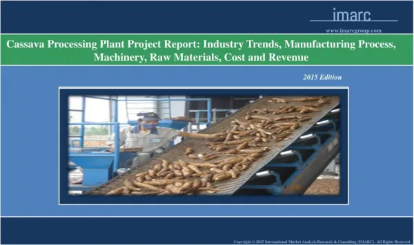 Cassava Processing Plant | Market Trends, Cost