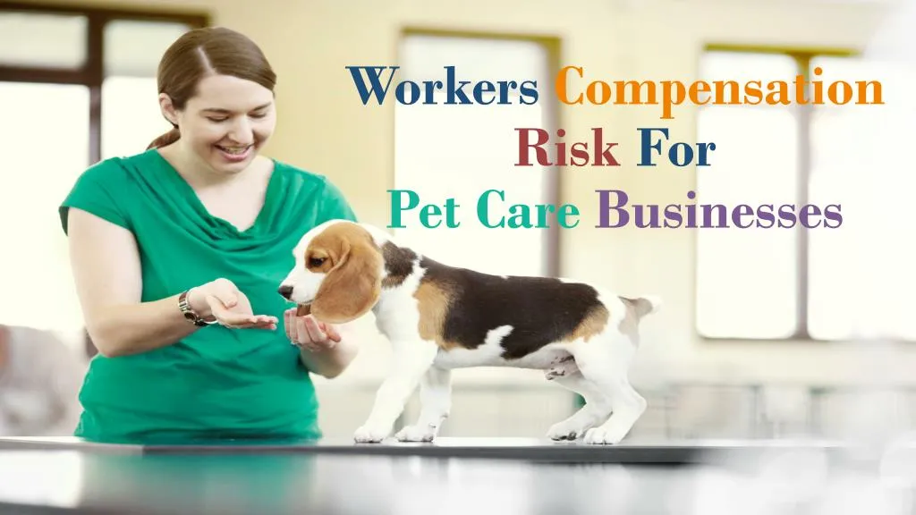 workers compensation risk for pet care businesses