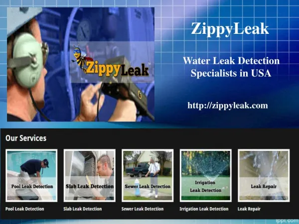 Pool Leak Detection Hollywood FL | 954-289-4141 | ZippyLeak