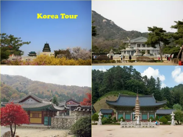 Korea Tour Package