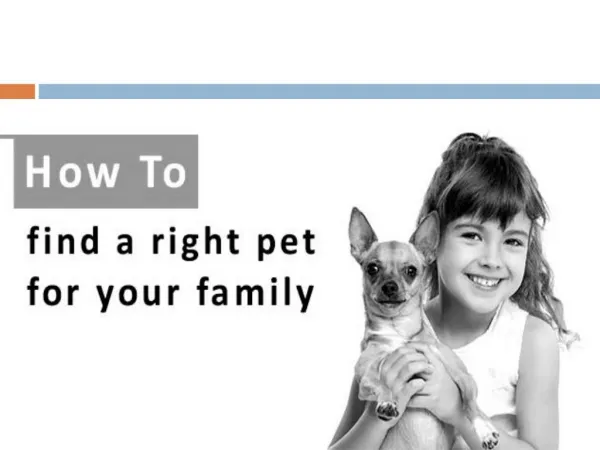 How to choose a good pet to adopt