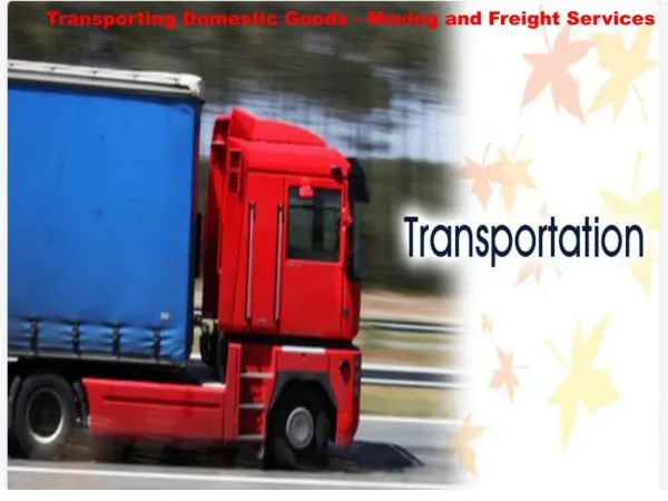 Transporting Domestic Goods - Moving and Freight Services