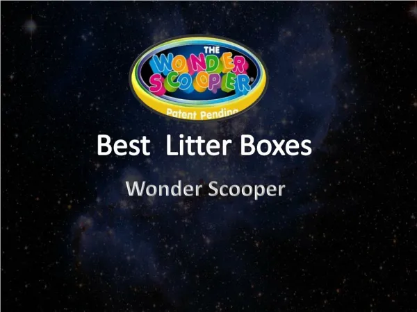 Best Litter Boxes
