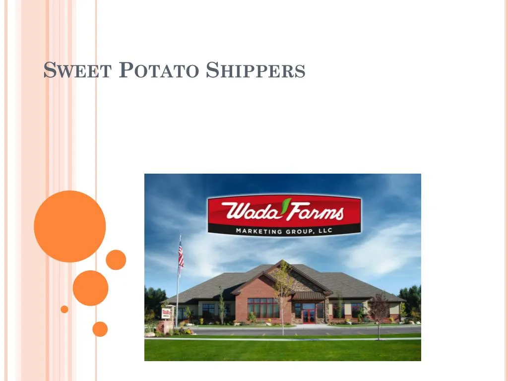 sweet potato shippers