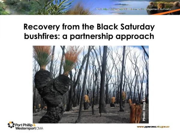 Recovery from the Black Saturday bushfires: a partnership approach