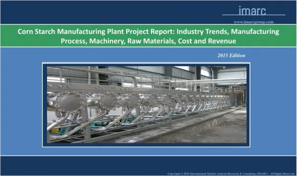 Corn Starch Manufacturing Plant | Market Trends, Cost