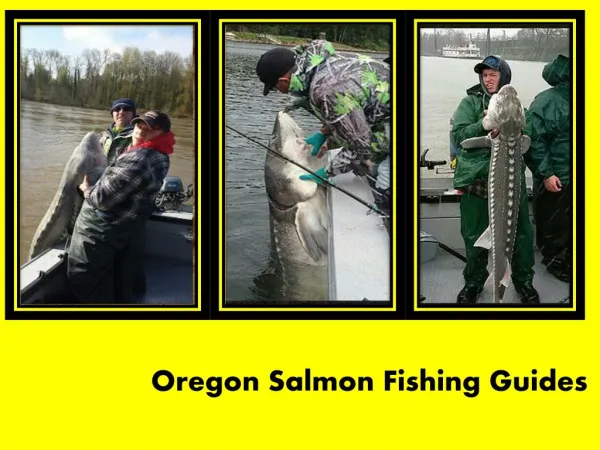 Oregon Salmon Fishing Guides