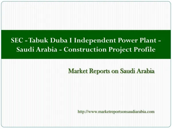 SEC - Tabuk Duba I Independent Power Plant - Saudi Arabia