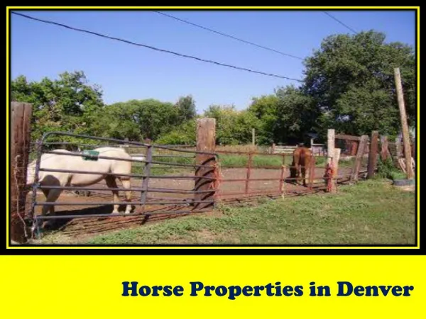 Horse Properties in Denver