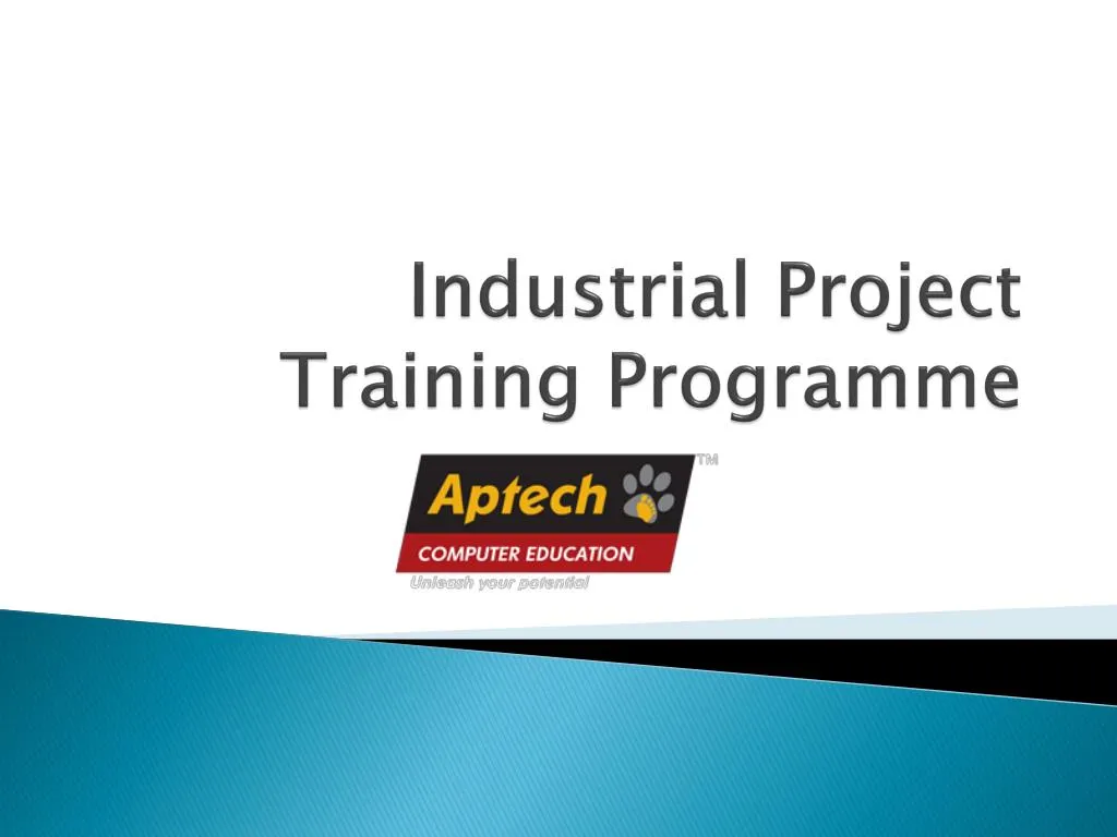 industrial project training programme