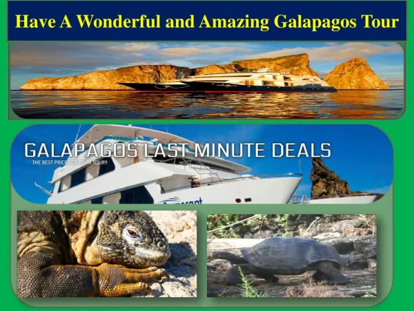 Have A Wonderful and Amazing Galapagos Tour
