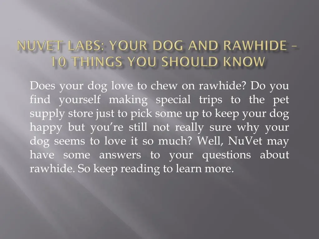nuvet labs your dog and rawhide 10 things you should know