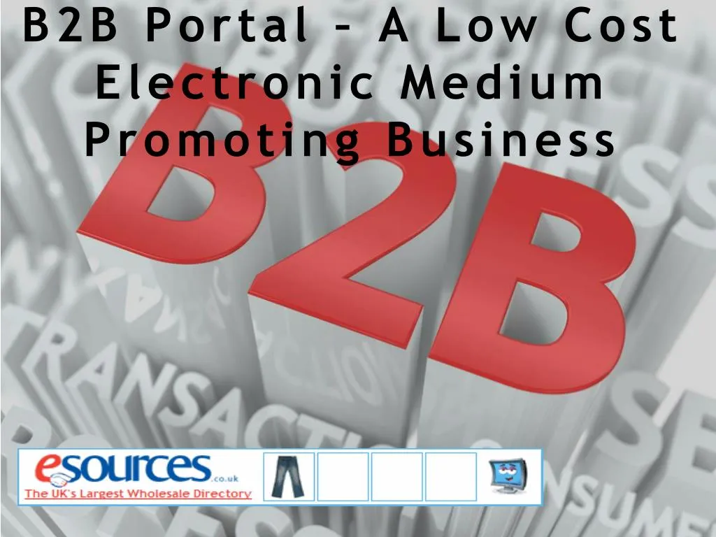 b2b portal a low cost electronic medium promoting business
