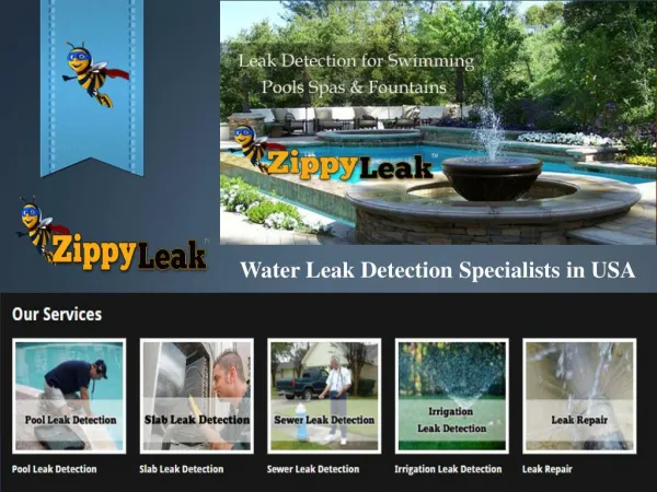 Pool Leak Detection Palm Springs CA | ZippyLeak