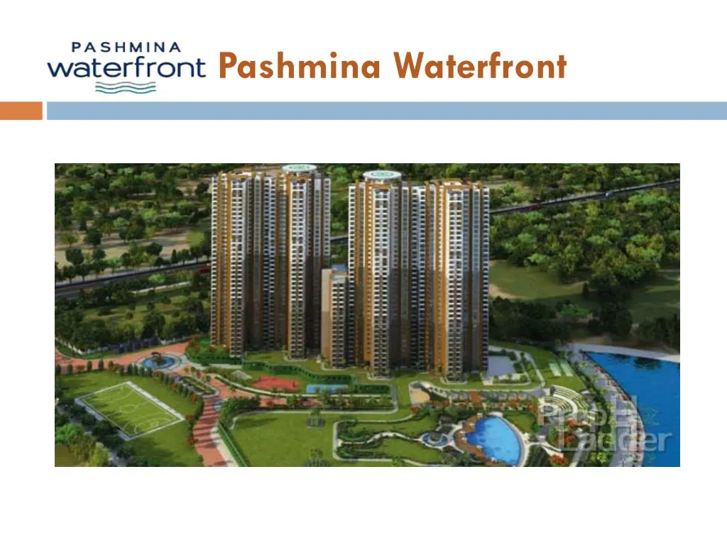 pashmina waterfront