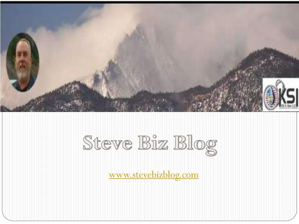www stevebizblog com