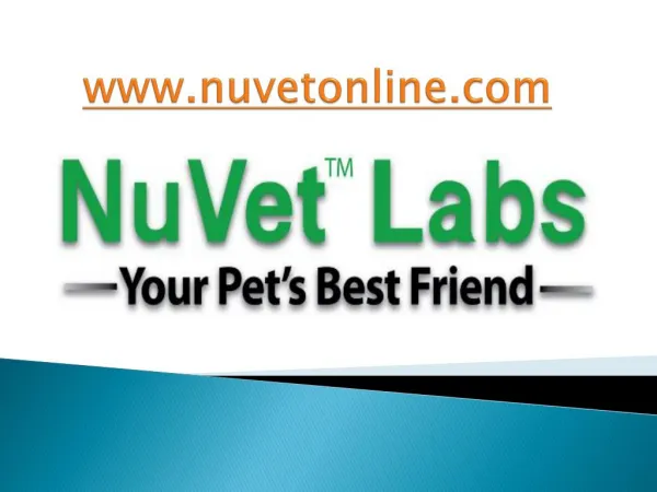 NuVet Labs| 5 Commands You Must Teach Your Dog