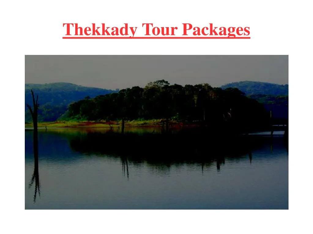 thekkady tour packages