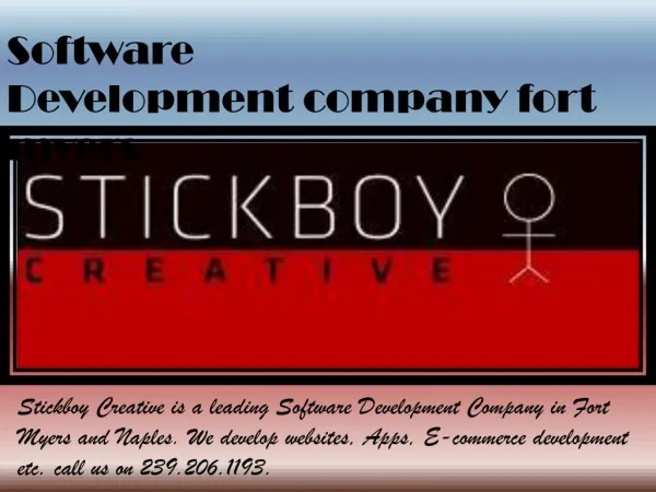 Software Development company naples