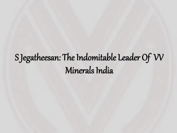 S Jegatheesan: The Indomitable Leader Of VV Minerals India