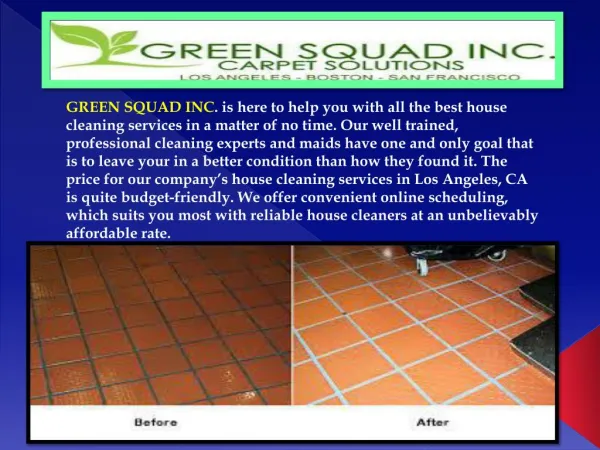 Upholstery Cleaning Los Angeles- Green Squad Inc