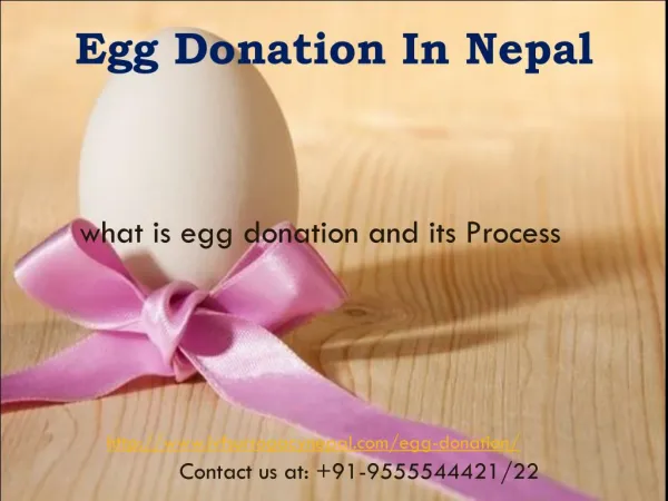 Egg Donation in Nepal | IVF Surrogcy Nepal