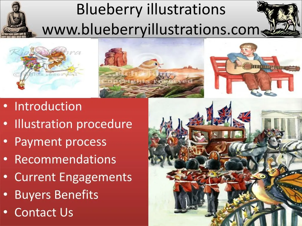 blueberry illustrations www blueberryillustrations com
