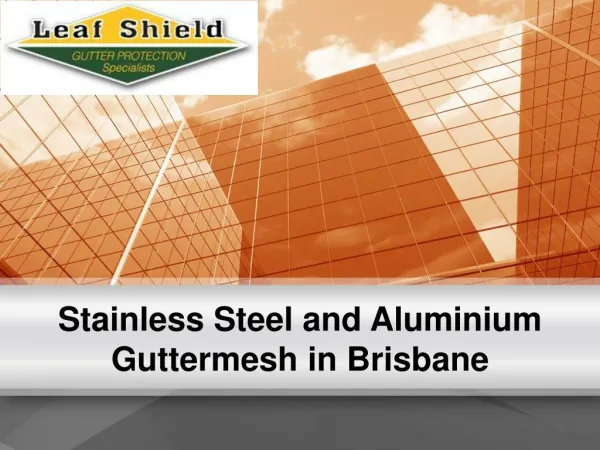 Stainless Steel and Aluminium Guttermesh in Brisbane