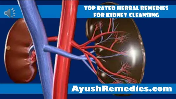 Top Rated Herbal Remedies For Kidney Cleansing