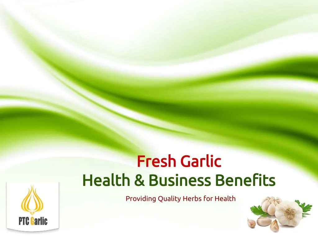 fresh garlic health business benefits