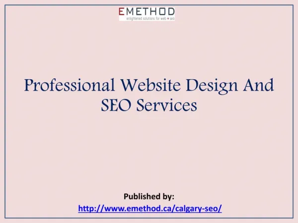 Professional Website Design And SEO Services