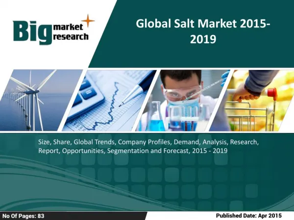Key Analysis Of Global Salt Market 2015-2019