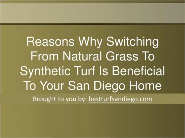 Reasons Why Switching From Natural Grass To Synthetic Turf I