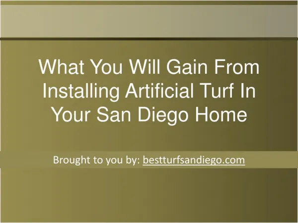 What You Will Gain From Installing Artificial Turf In Your S