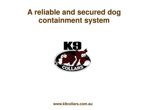 A reliable and secured dog containment system