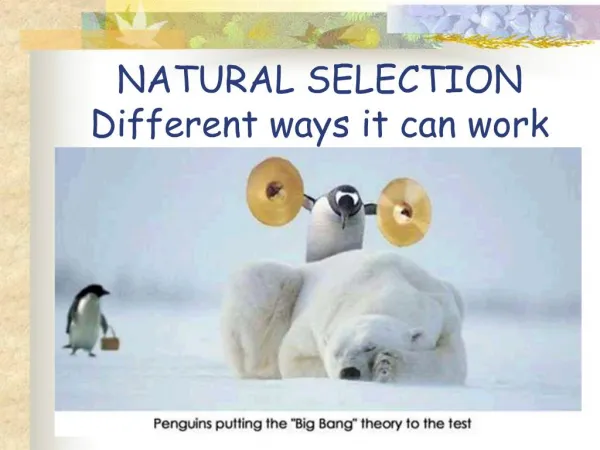 NATURAL SELECTION Different ways it can work
