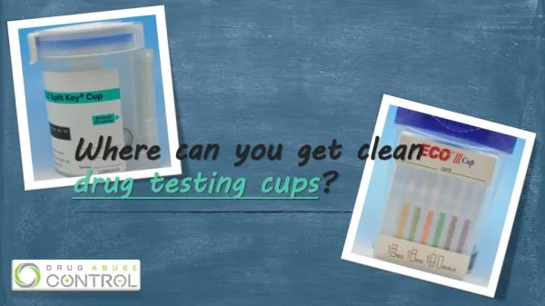 Where can you find clean drug testing cups?