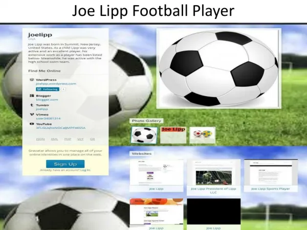 Joe Lipp Sports Lover
