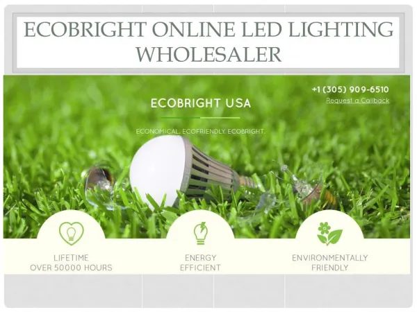 ecoBright Online Led Lighting Wholesaler