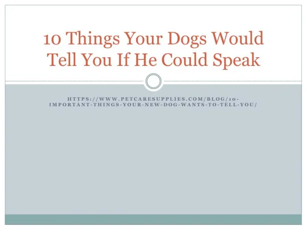 10 Things your dog tells you silently