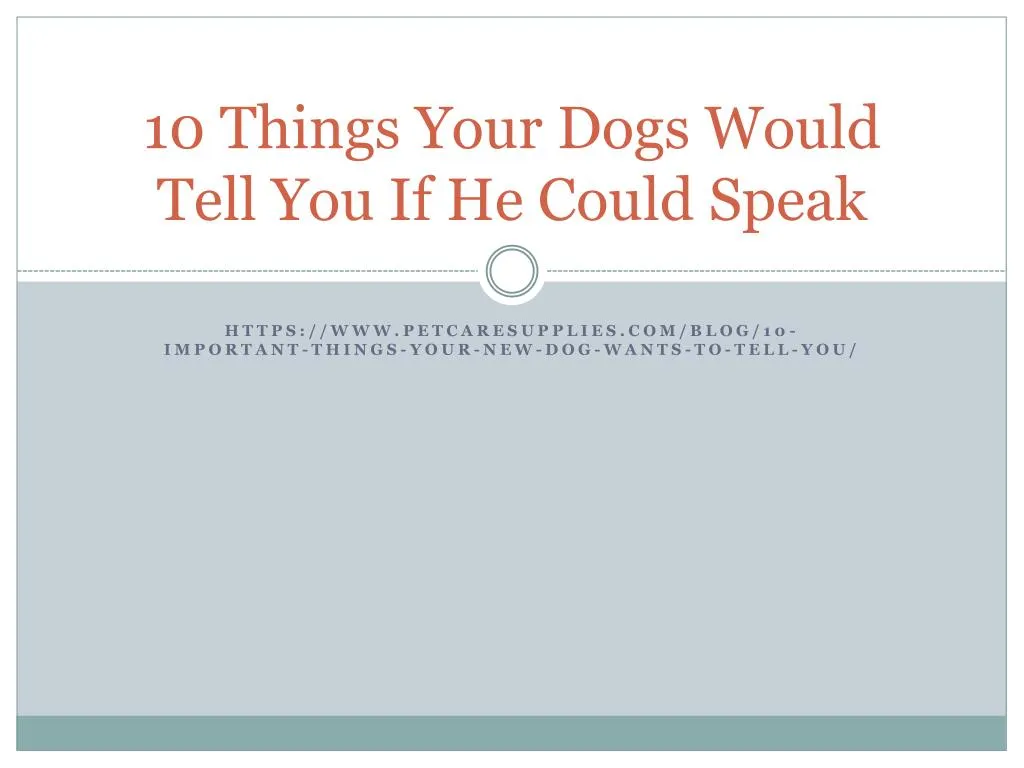 10 things your dogs would tell you if he could speak
